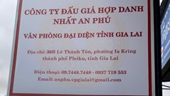 Gia Lai: Nhiều doanh nghiệp “tố” Công ty Đấu giá “đánh trượt” hồ sơ thiếu khách quan