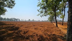 Doanh nghiệp bảo đúng, cơ quan chức năng nói sai