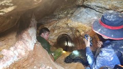 Cận cảnh “công trường ngầm” của vàng tặc giữa rừng phòng hộ Đăk Đoa