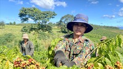 Những kết quả nổi bật từ Cuộc vận động “Làm thay đổi nếp nghĩ, cách làm” ở Đăk Tô