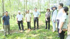 Huyện Đăk Tô lồng ghép hiệu quả nguồn lực, thúc đẩy giảm nghèo bền vững