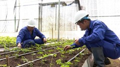 Sau hậu kiểm phát hiện nhiều sai phạm, kiến nghị đình chỉ mã số đã cấp