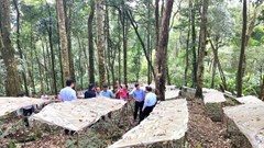 Quảng Ngãi: Xây dựng xã Măng Ri trở thành trung tâm kinh tế xanh đặc trưng của khu vực