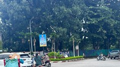 Tuyến đường giao thông huyết mạch ở 3 phường trung tâm phía Tây xuất hiện dày đặc ổ voi, ổ gà