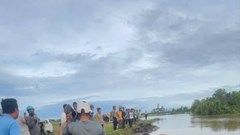 Đắk Lắk: 23 con trâu bị ngạt nước do mưa lớn sau bão số 13