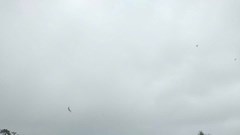 Đắk Lắk: Nước lũ dâng chạm nóc nhà, nhiều người dân lên mạng xã hội cầu cứu trong đêm