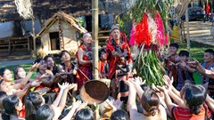 Quảng Ngãi: Bảo tồn văn hóa Giẻ Triêng qua lễ hội Mừng lúa mới ở Dục Nông