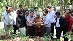 Quảng Ngãi: Trao “vốn quý” sâm Ngọc Linh, tiếp lửa khởi nghiệp cho thanh niên vùng cao
