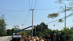 Quảng Ngãi: Lật xe chở gỗ từ Lào về qua cửa khẩu Bờ Y