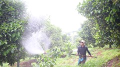 Hiện thực hóa EPR trong xử lý rác thải nông nghiệp