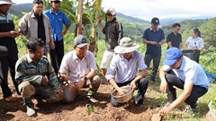 Từ “Đại hội không hoa” đến khát vọng xây dựng thương hiệu cà phê đặc sản Tu Mơ Rông