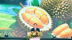 Khai mạc Lễ hội Sầu riêng Đắk Lắk 2026: Nâng tầm giá trị, vươn xa bằng thương hiệu