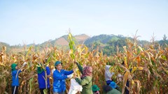  Nhiều hoạt động ý nghĩa hỗ trợ người dân xã Quan Sơn