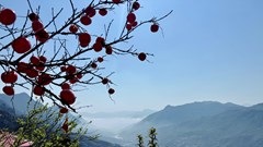 Quảng bá du lịch Việt Nam trên biển quảng cáo tấm lớn, biển quảng cáo điện tử, phương tiện giao thông công cộng