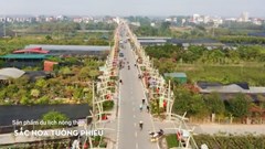 Du lịch Hà Nội: Khám phá xã Phúc Thọ với “Sắc hoa Tường Phiêu“
