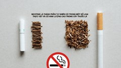 Thuốc lá: “Rào cản” trong điều trị các rối loạn tâm thần nghiêm trọng