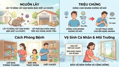 Làm gì để phòng ngừa Virus Hanta? Những khuyến cáo quan trọng từ Bộ Y tế