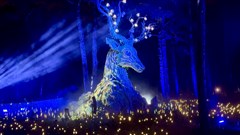 Đêm Đà Lạt “thức giấc” với vũ trụ ánh sáng kỳ ảo tại Delight Park