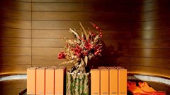  Khi Hải Phòng “kể chuyện” mùa trăng