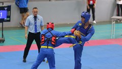 Hơn 350 VĐV tham dự giải Vovinam các đội mạnh toàn quốc
