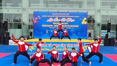 Bình Dương tổ chức Liên hoan Võ nhạc