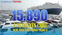 15.890 ô tô nguyên chiếc được nhập khẩu trong tháng 6.2024