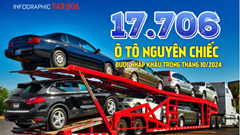 (Infographic) 17.706 ô tô nguyên chiếc được nhập khẩu trong tháng 10.2024