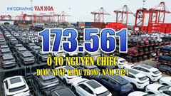 (Infographic) 173.561 ô tô nguyên chiếc được nhập khẩu trong năm 2024
