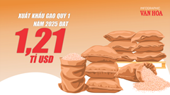 (Infographic) Xuất khẩu gạo quý 1 năm 2025 đạt 1,21 tỉ USD 