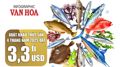 (Infographic) Xuất khẩu thủy sản 4 tháng năm 2025 đạt 3,3 tỉ USD