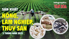 (Infographic) Sản xuất nông, lâm nghiệp, thủy sản 5 tháng năm 2025