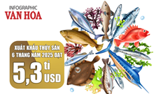 (Infographic) Xuất khẩu thủy sản 6 tháng năm 2025 đạt 5,3 tỉ USD