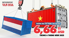 (Infographic) Thương mại Việt Nam - Hà Lan đạt 6,66 tỉ USD trong 6 tháng năm 2025