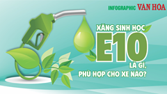(Infographic) Xăng sinh học E10 là gì, phù hợp cho xe nào?
