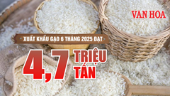 (Infographic) Xuất khẩu gạo 6 tháng năm 2025 đạt 4,7 triệu tấn