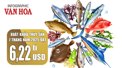 (Infographic) Xuất khẩu thủy sản Việt Nam tăng tốc, đạt 6,22 tỉ USD sau 7 tháng