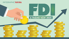 (Infographic) FDI vào Việt Nam 8 tháng 2025 đạt 26,14 tỉ USD, tăng 27,3%