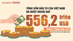 (Infographic) 8 tháng 2025: Đầu tư ra nước ngoài của Việt Nam đạt hơn nửa tỉ USD