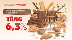(Infographic) Hoa Kỳ chiếm hơn nửa thị phần xuất khẩu gỗ Việt Nam trong 8 tháng 2025
