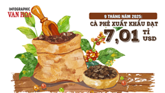 (Infographic) Xuất khẩu cà phê Việt Nam 9 tháng năm 2025 tăng mạnh, vượt 7 tỉ USD