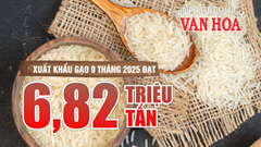 (Infographic) Xuất khẩu gạo Việt Nam giảm giá trị 20% trong 9 tháng năm 2025