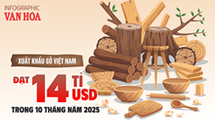 (Infographic) Xuất khẩu gỗ Việt Nam đạt 14 tỉ USD trong 10 tháng năm 2025