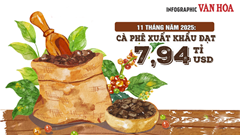 (Infographic) Cà phê Việt Nam lập kỷ lục xuất khẩu 7,94 tỉ USD sau 11 tháng
