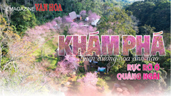 (Emagazine) Khám phá “thiên đường hoa anh đào” rực rỡ ở Quảng Ngãi