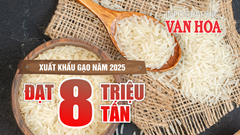 (Infographic) Xuất khẩu gạo tháng 12 khởi sắc, nhưng cả năm 2025 vẫn giảm so với năm trước