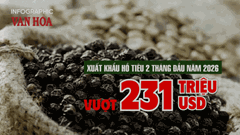 (Infographic) Xuất khẩu hồ tiêu 2 tháng đầu năm 2026 vượt 231 triệu USD, giá tăng mạnh