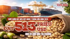 Xuất khẩu hạt điều Việt Nam 2 tháng đầu năm 2026 đạt 513 triệu USD