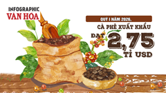 Xuất khẩu cà phê quý I.2026 đạt 2,75 tỉ USD, Đức dẫn đầu, giá giảm 16,9%