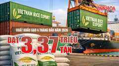 Xuất khẩu gạo 4 tháng đầu năm 2026 đạt 3,37 triệu tấn, thu về 1,58 tỉ USD