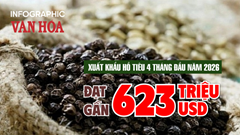 Xuất khẩu hồ tiêu 4 tháng đầu năm 2026 đạt gần 623 triệu USD
